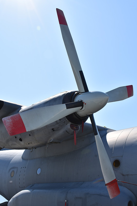 迪卡侬瑜伽垫利用佛山跨国货运运到爱沙尼亚