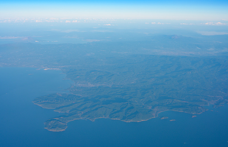 绿萝水培套装通过深圳国际运输及时送达比利时