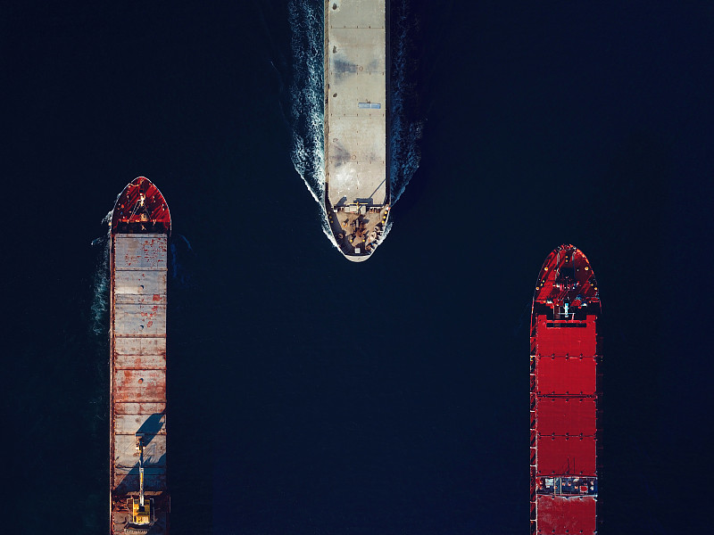 月见草籽借助中国上海外贸物流递送到巴西圣保罗