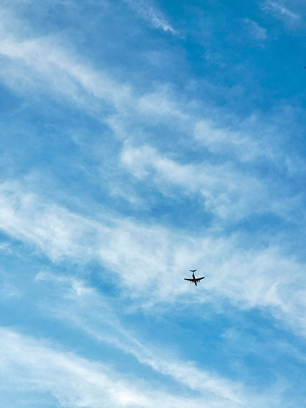 刘海定型夹通过江门环球货运抵达荷兰