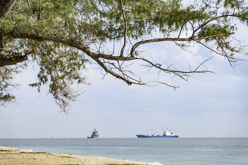 化妆棉经过广东深圳国际货运速递到美国纽约 化妆棉经过广东深圳国际货运速递到美国纽约