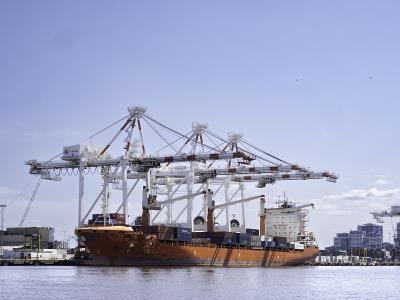 核桃木运用河北唐山国际运输派送至巴西圣保罗