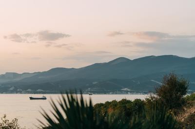 假睫毛采用中国上海跨境物流快送到沙特阿拉伯吉达