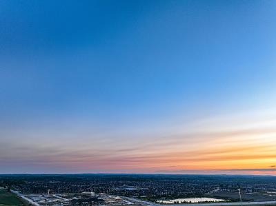 豆粕经中国天津门到门空运送到圣安东尼奥(SanAntonio)
