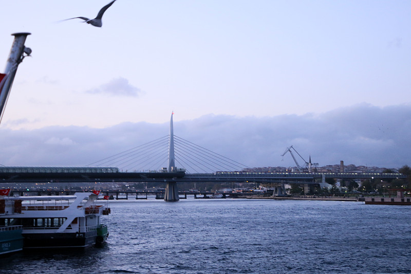 中国东莞太极藿香正气胶囊采用航空运输6天送到美国新泽西