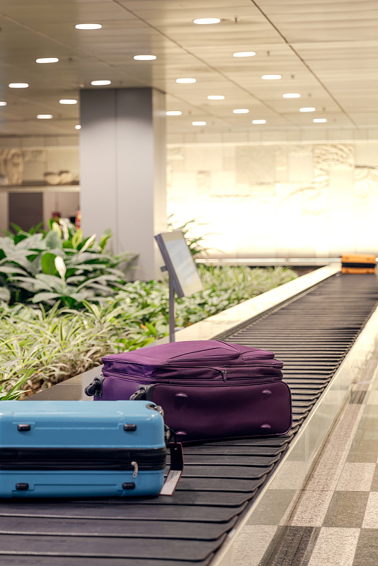 速冻食品中国东莞集装箱运输运送至泽西城