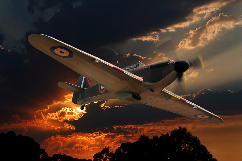 广州苹果、柑橘使用加急空运3天内送到美国苏福尔斯