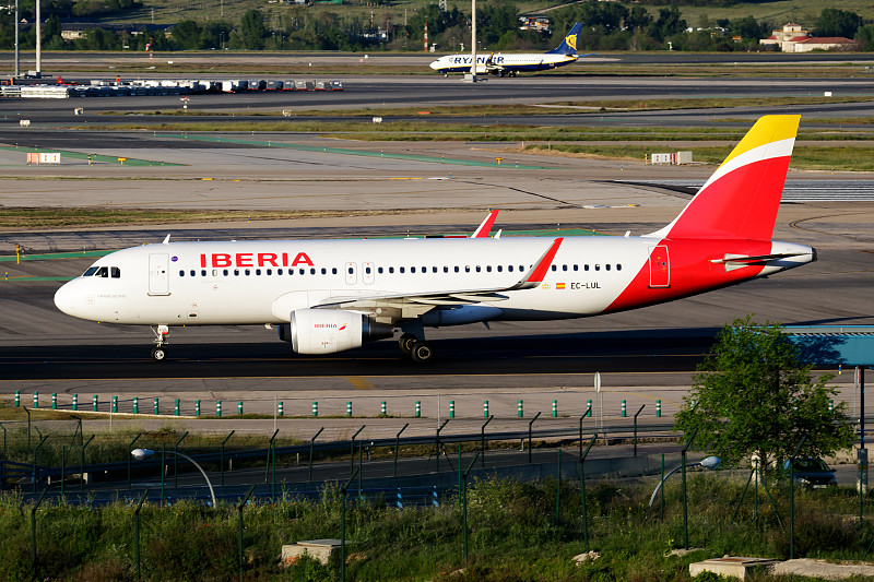 中国长沙杏仁采用航空快递3天内送到美国本德 中国长沙杏仁采用航空快递3天内送到美国本德