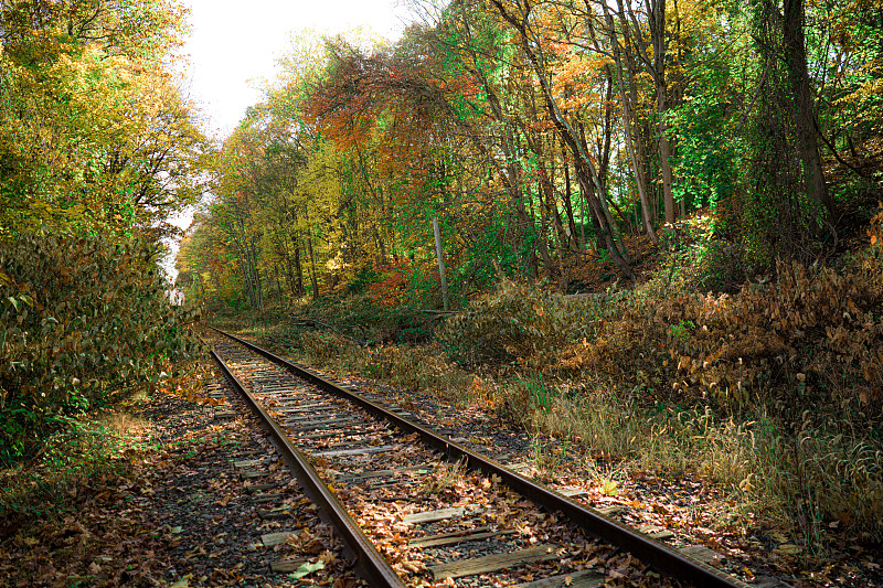 荞麦采用中国深圳国际海空联运配送至美国休斯敦(Houston) 荞麦采用中国深圳国际海空联运配送至美国休斯敦(Houston)