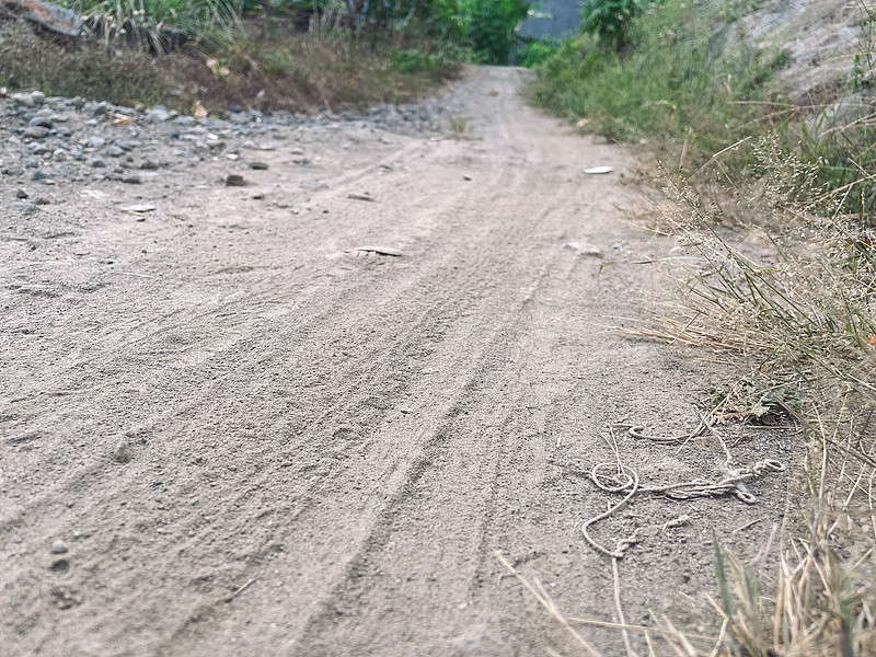 庭院灯通过宁波港到港海运运输到美国安克雷奇(Anchorage)