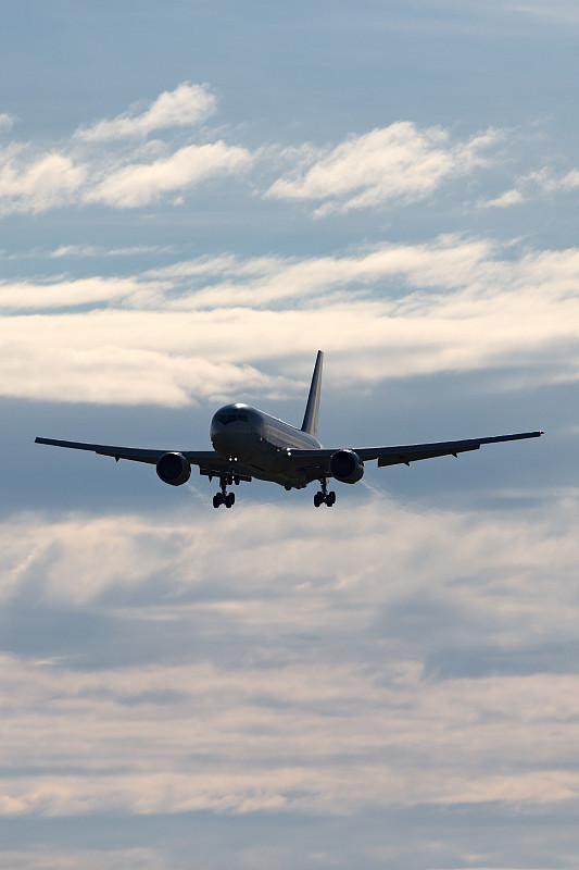 中国上海谷子（粟）使用国际快递13天内速递到美国奥克兰