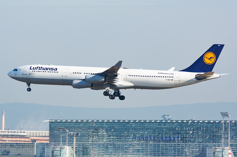 德高美缝剂利用中国西安标准空运送达西棕榈滩(WestPalmBeach)