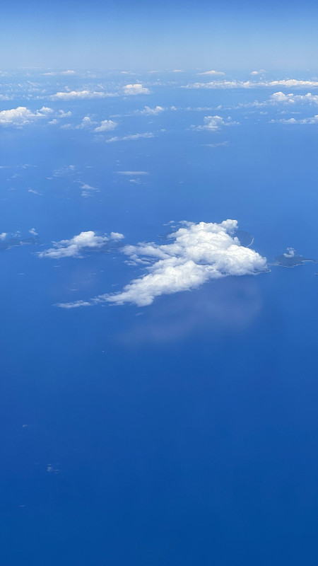 中国义乌马黛茶采用航空货运15天内送到美国加尔维斯顿