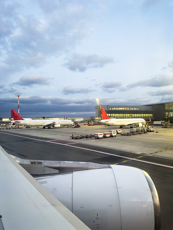 塑型膏借助中国上海航空运输送达波特兰(Portland)