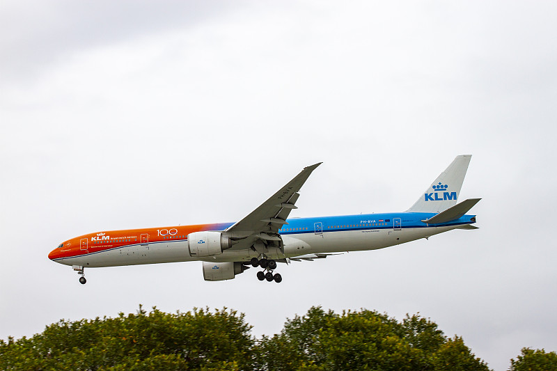 文竹盆景采取中国厦门空运专线送到伊丽莎白