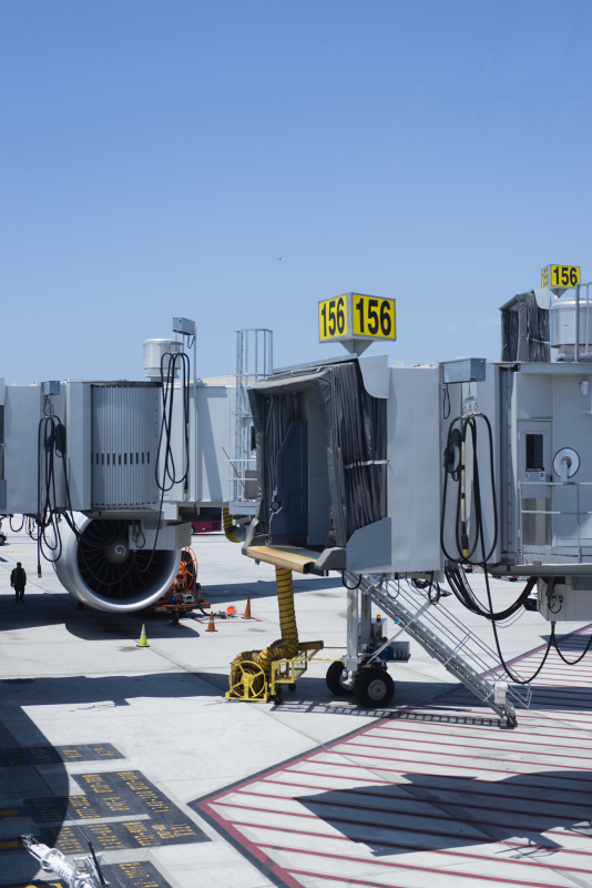 洗发水借用中国武汉船运快送到美国坦帕