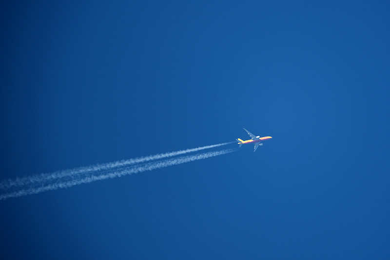 蜜饯果干类借助中国台中海洋运输配送至美国苏福尔斯(SiouxFalls)