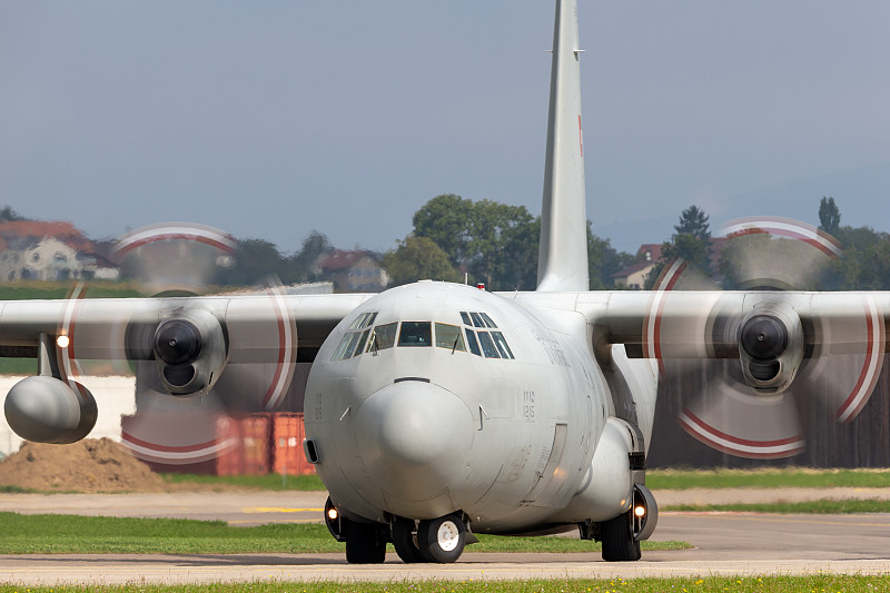 中山至萨凡纳的猫薄荷采用国际航空货运9天送达