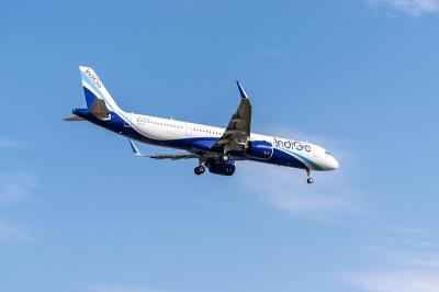 深圳到美国夏洛特的百草味芒果干采用国际空运专线9天配送到