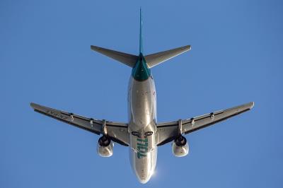 中国北京至美国休斯敦的饼干采用航空快递6天速递到
