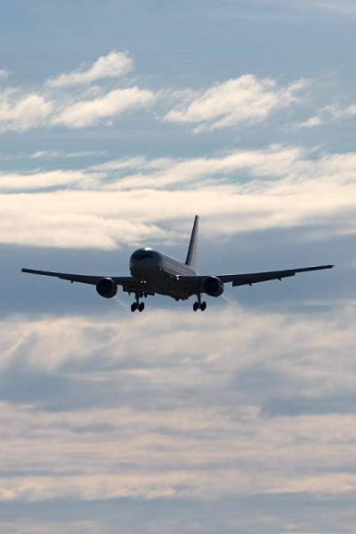 中国上海谷子（粟）使用国际快递13天内速递到美国奥克兰