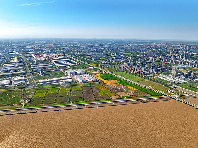 顺丰、申通、韵达冲进前五！