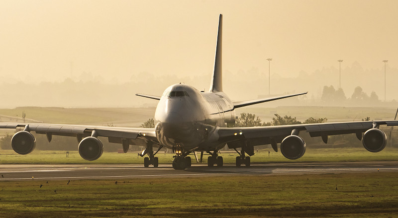小小玩偶竟能卖80刀！想卖爆亚马逊北美站？绝对不能错过这些宝藏选品！