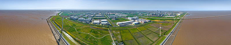 特朗普佛像上线亚马逊，是文化输出还是侵权陷阱？