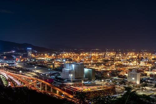 中国河南-郑州到德国冷藏船整舱运输区域循环航线