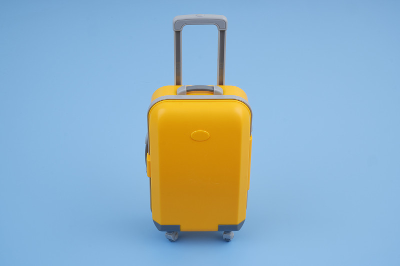 中国上海到荷兰生鲜冷链空运