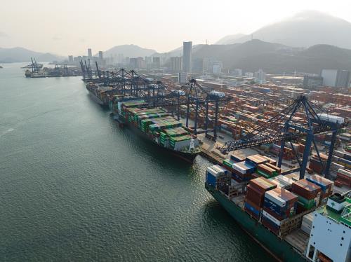 中国广东-东莞到克罗地亚冷藏船整舱运输洲际定点航线