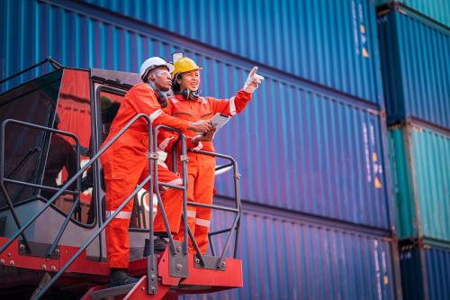 中国广东-东莞到荷兰冷藏船整舱运输直达海运线