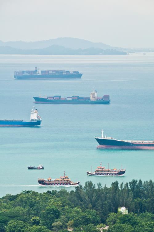 中国广东-东莞到芬兰独立冷藏集装箱定点直航海运线