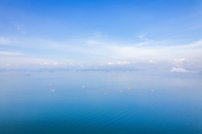 深圳市海棠物流有限公司