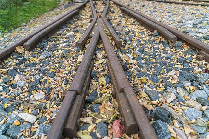 广州德基物流有限公司