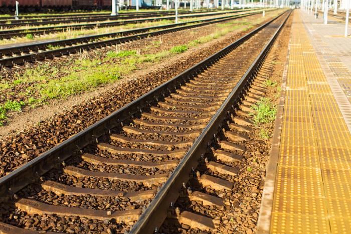 深圳市飞逸国际物流有限公司