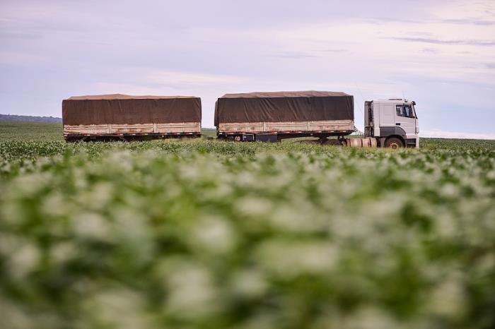 广西瑞平物流有限责任公司