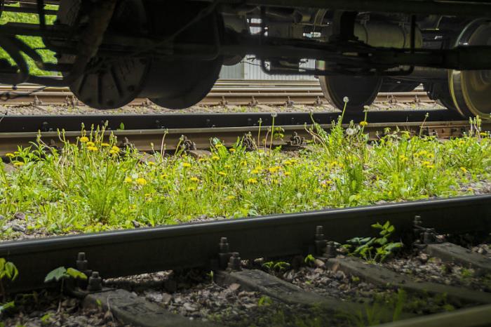 广西双舟物流有限公司 广西双舟物流有限公司