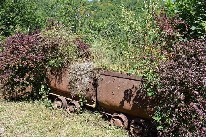 广西中禹国际物流有限公司