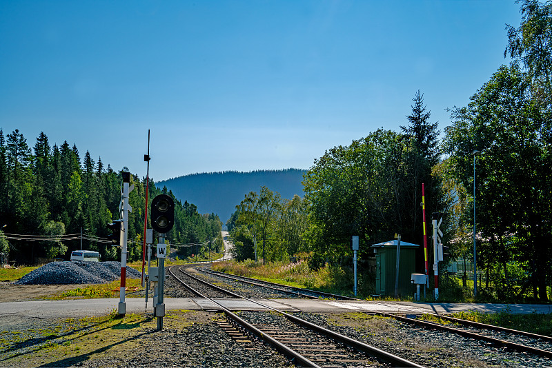 上海新飞龙物流有限公司