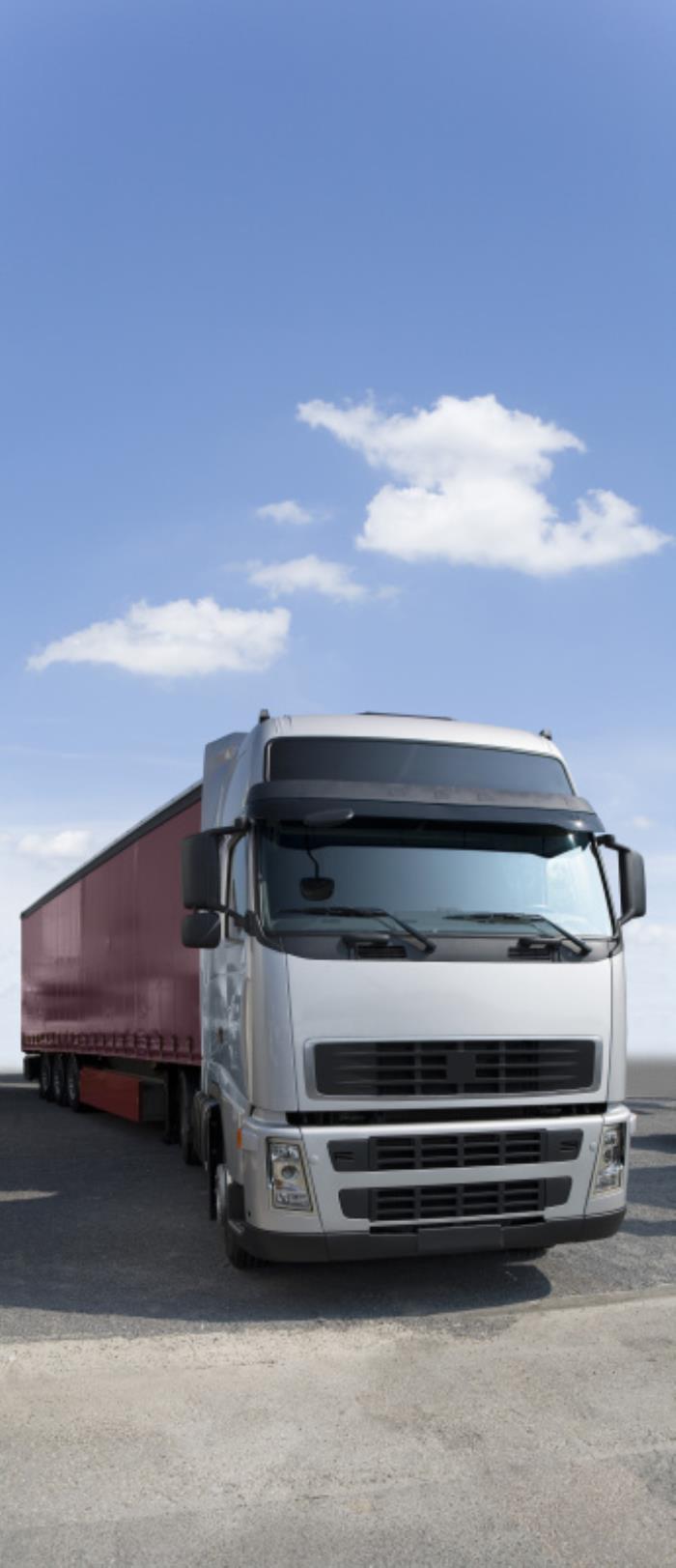 东莞市中上物流有限公司