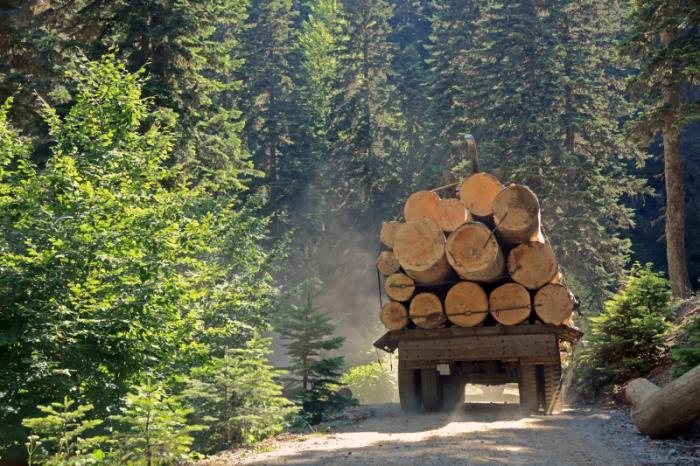 佛山市顺天隆物流有限公司