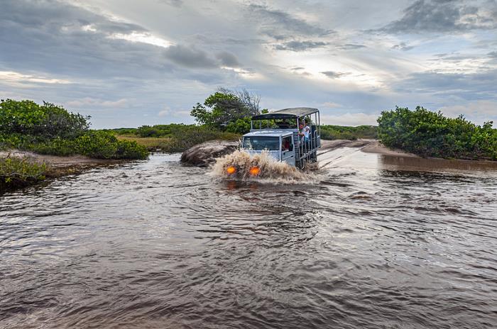 东莞市新视界物流有限公司