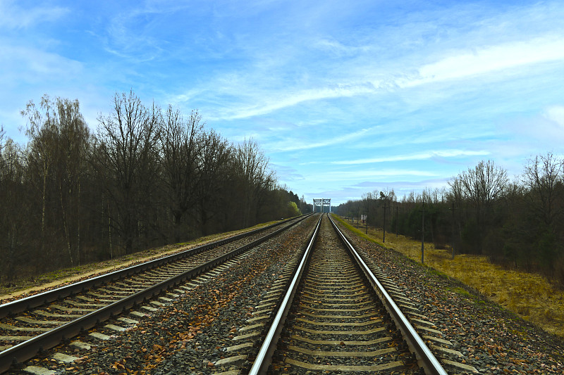 深圳市金驰运通物流有限公司