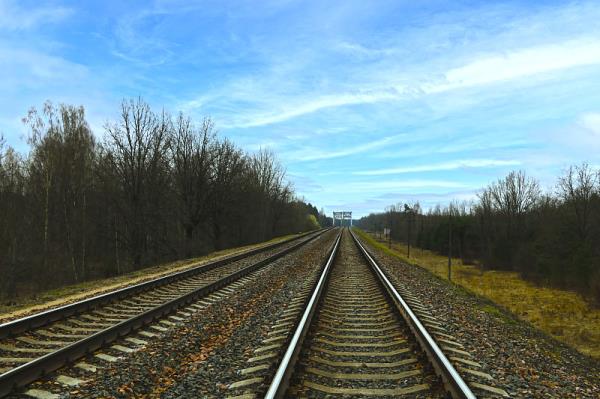 深圳市金驰运通物流有限公司