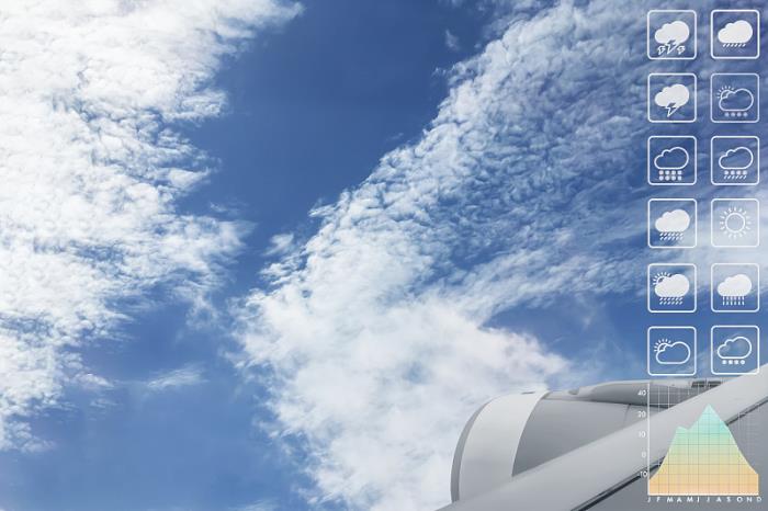 广西广肖物流有限公司 广西广肖物流有限公司