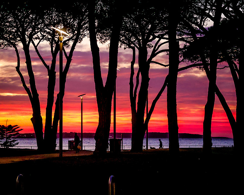 甘肃辰美物流有限公司