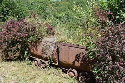 广西中禹国际物流有限公司