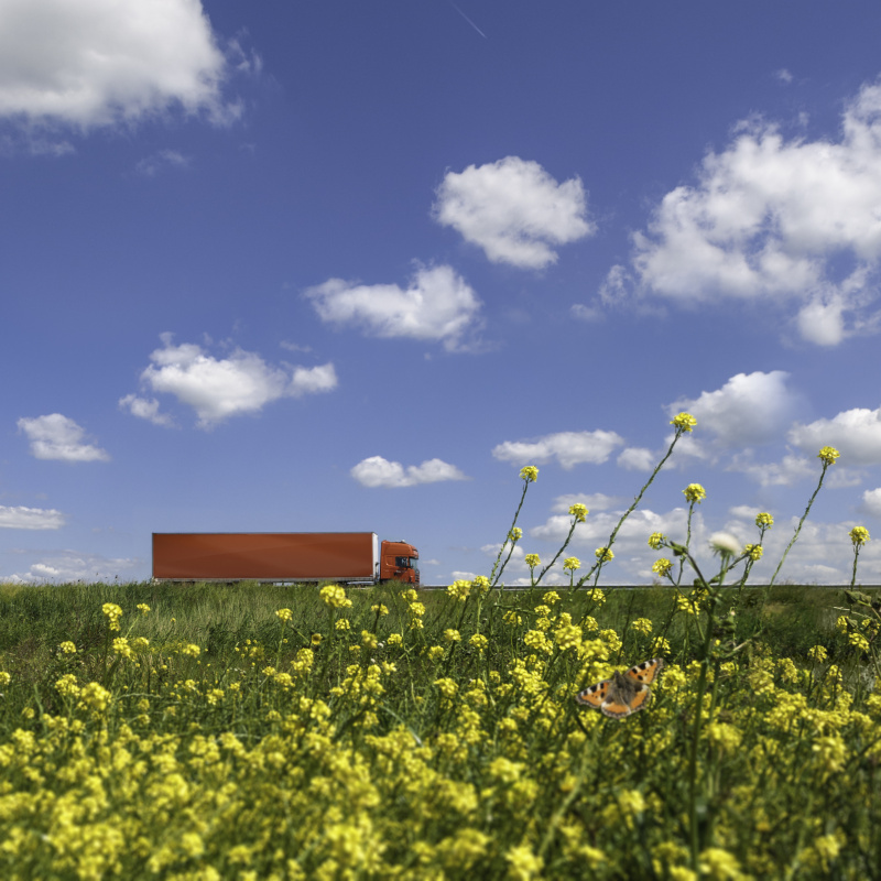 东莞市诚鑫达物流有限公司