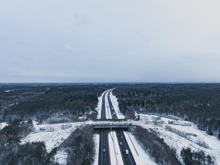 广西大良物流有限公司